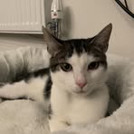 Profile Picture of David Zawisza (@David-Zawisza) on Facebook