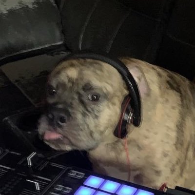 Profile Picture of  🇺🇸Brett Huggard 🇺🇸 (@hitmanmuzac) on Twitter