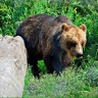 Profile Picture of Chris Popiela (@chris-popiela-2) on Quora