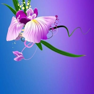 Profile Picture of Neil (@neilbajaj) on Twitter