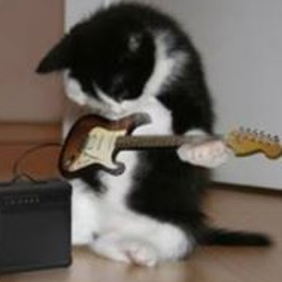 Profile Picture of Dreams & Vibes (@Greg_Kessler) on Twitter