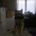 Profile Picture of Quint Tony (@quint.tony.3) on Facebook