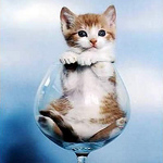 Lucero Peltroche Ramos - Flickr Profile Picture of Lucero Peltroche Ramos (@lucero2021) on Flickr