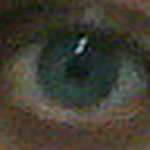 Profile Picture of Fábio Marcelo Pereira (@fabiomarcelopereira) on Flickr