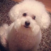 Profile Picture of Cameron Lopes (@cameronlopes4698) on Youtube