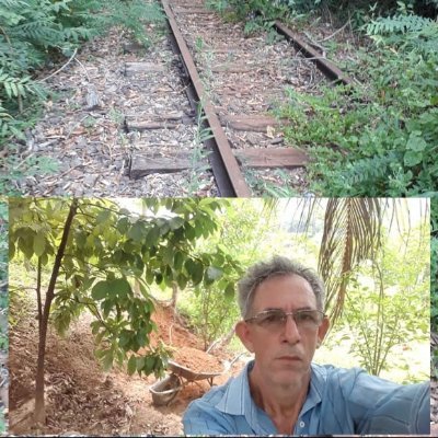 Profile Picture of Carlos . BARROS LORENÇONE. (@CLorencone) on Twitter