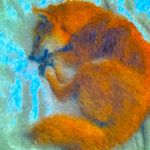 Profile Picture of Nicolas🤘- ニコラス君です。 (@here_comes_nicolas) on Instagram