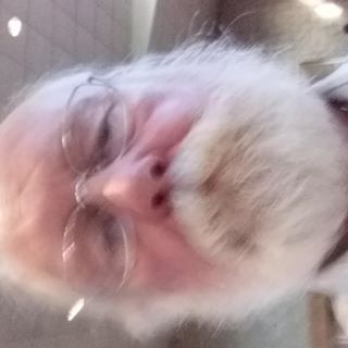 Profile Picture of Joseph Steele (@joseph.steele.9699) on Facebook