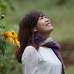 Profile Picture of Pham Thi Thu Thuy (@P%u0103ng X?) on Flickr