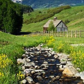 Harry Vance - Pinterest Profile Picture of Harry Vance (@harryvance7132) on Pinterest