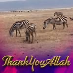 Profile Picture of Michaell Lembesa (@michaell.lembesa) on Facebook