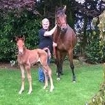 Profile Picture of Gerold Wittmeyer (@geroldwittmeyer) on Instagram