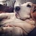 Profile Picture of Gena Larson Stockland (@genalarsonstock) on Pinterest
