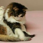 Profile Picture of Sherry Partington (@partingtonsherry) on Instagram