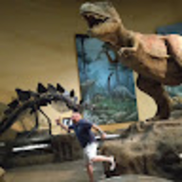 Profile Picture of Lance Jentzsch (@lance_jentzsch) on Poshmark