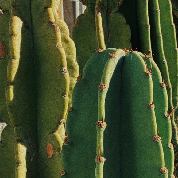 Michelle Marsollier - Poshmark Profile Picture of Michelle Marsollier (@mmarsollier) on Poshmark