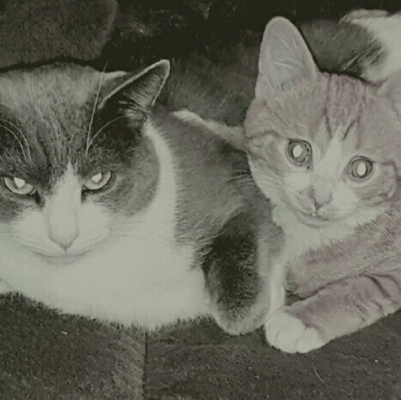 Profile Picture of Terra Cutchall (@tcutchall0807) on Poshmark