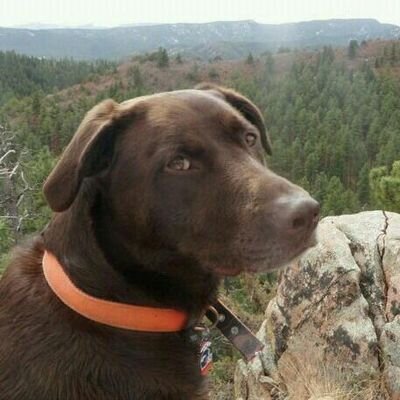 Profile Picture of Bryan Ware (@beware1044) on Twitter