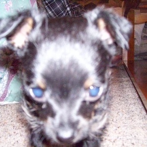 Profile Picture of Jane Hatswell (@janekieferhatswell) on Myspace