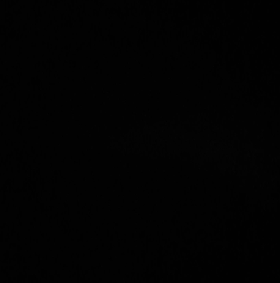 Profile Picture of Roy Wiborg (@rbwucla) on Poshmark