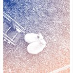 Profile Picture of David Orgl (@himel) on Instagram