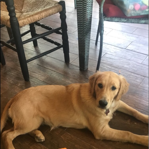 Profile Picture of Jordan Herbold (@jordan_herbold) on Poshmark