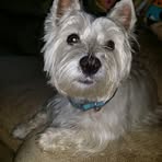 Profile Picture of Carol Reiling (@carol.reiling.3) on Facebook