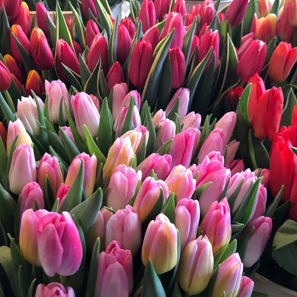 Profile Picture of Rowella Sy (@posh2879) on Poshmark