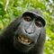 Profile Picture of Jason Grimmer (@Jason-Grimmer) on Facebook