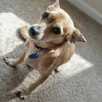 Profile Picture of Crystal Draper (@crystal-draper-9) on Quora