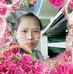 Profile Picture of Tong Thaothi (@tong.thaothi.3) on Facebook