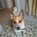 Profile Picture of Ruth Mohr (@Ruth-Mohr) on Facebook