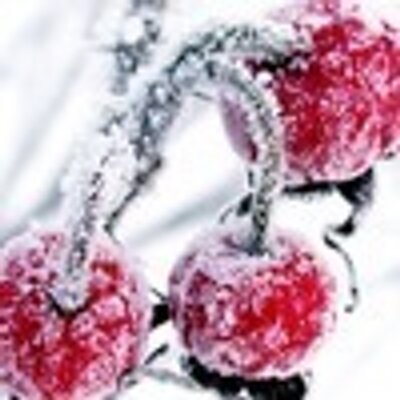 Profile Picture of Helen Lane (@lane_gilbert) on Twitter