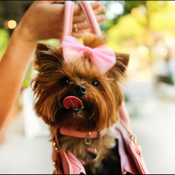 Profile Picture of Kristen Lazelle (@kristenlazelle) on Poshmark