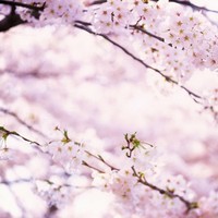 Profile Picture of Carlos Wang (@carlos-wang-17) on Quora