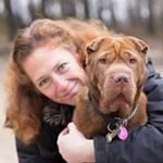 Profile Picture of Linda Fusco (@coco_de_sharpei) on Instagram