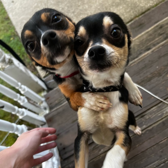 Profile Picture of Person Person (@jdevo2864) on Poshmark