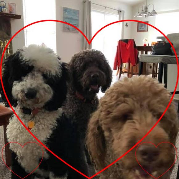 Profile Picture of Colleen Gretchko (@cbgretchko) on Poshmark