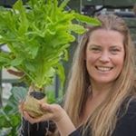 Profile Picture of Amanda Heron (@aheronbird) on Instagram