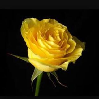 Adriana Offenhutter - Facebook Profile Picture of Adriana Offenhutter (@Adriana-Offenhutter) on Facebook