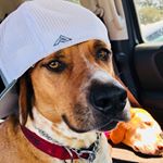 Profile Picture of Joe Krasnowski (@joekras03) on Instagram