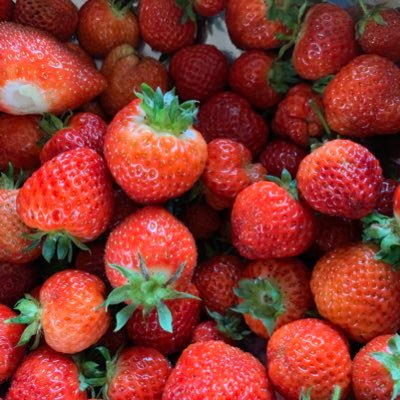 Oz - Twitter Profile Picture of Oz (@AlexanderGerz) on Twitter