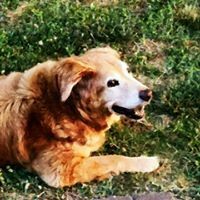 Profile Picture of Joseph Clifford (@joseph-clifford-9) on Quora