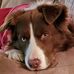 Profile Picture of Nancy Hilzendeger Arkell Stevens (@nancy.hilzendegerarkellstevens) on Facebook