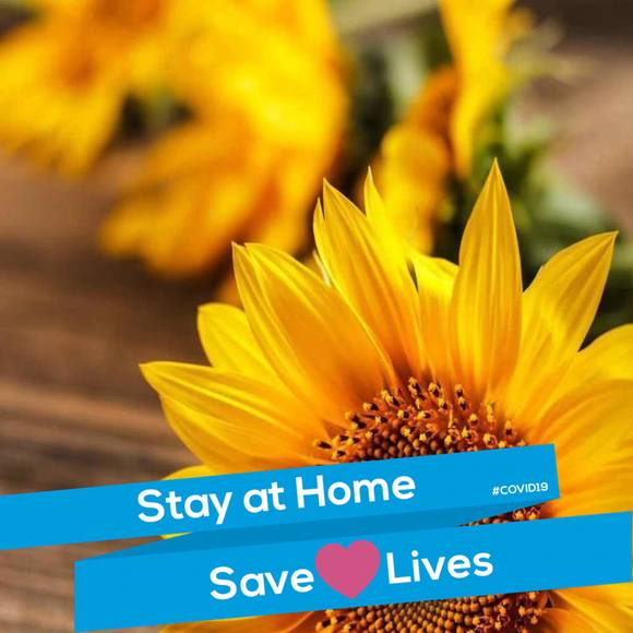 Profile Picture of Donna Hansen (@advil469) on Poshmark