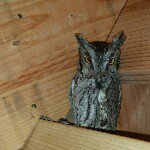 Profile Picture of Clint Vick (@clitvick) on Instagram