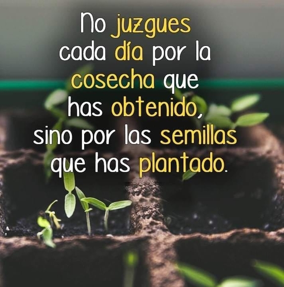 Profile Picture of Gonzalez Miguel (@gonzalez_miguel) on Poshmark