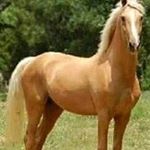 Profile Picture of Erik Ybarra (@ybarra_erik) on Instagram