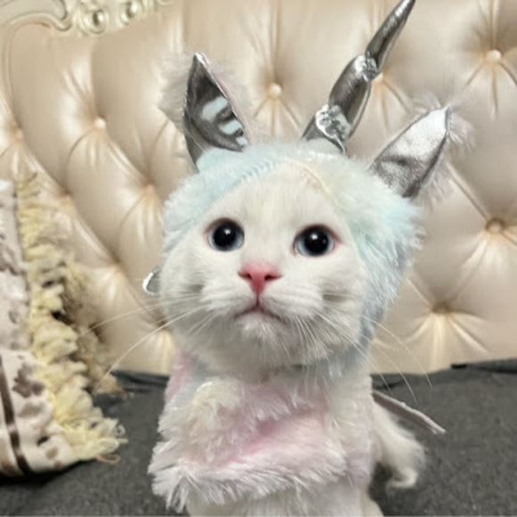 Profile Picture of Diana Patel (@dianapatel8) on Poshmark