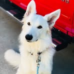 Profile Picture of Grant Witherspoon (@grant.witherspoon.9) on Facebook